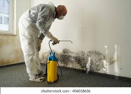 Best Asbestos and Lead Testing During Mold Inspection  in Ashland City, TN